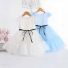Modest / Simple Sky Blue Birthday Flower Girl Dresses 2023 A-Line / Princess Scoop Neck Sleeveless Bow Sash Floor-Length / Long Flower Girl Dresses