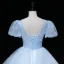 Chic / Beautiful Sky Blue Beading Pearl Sequins Lace Flower Prom Dresses 2023 Ball Gown Scoop Neck Short Sleeve Backless Floor-Length / Long Prom Formal Dresses