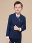 Fashion Beige Long Sleeve Boys Wedding Suits 2022 Coat Pants Shirt Tie Wedding