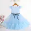 Modest / Simple Sky Blue Birthday Flower Girl Dresses 2023 A-Line / Princess Scoop Neck Sleeveless Bow Sash Floor-Length / Long Flower Girl Dresses