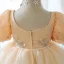 Mode Champagne Perlage Perle Paillettes En Dentelle Fleur Anniversaire Robe Ceremonie Fille 2022 Robe Boule U-Cou Gonflée Manches Courtes Ceinture Noeud Courte Dos Nu Robe Ceremonie Fille