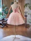 Flower Fairy Blushing Pink Appliques Short Homecoming Graduation Dresses 2025 Strapless Sleeveless Backless Tulle