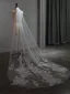 High-end White Lace Embroidered Wedding Veils 2025
