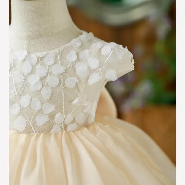 Chic / Beautiful Beige Appliques Birthday Flower Girl Dresses 2022 Ball Gown Scoop Neck Short Sleeve Bow Short Flower Girl Dresses