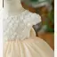Chic / Beautiful Beige Appliques Birthday Flower Girl Dresses 2022 Ball Gown Scoop Neck Short Sleeve Bow Short Flower Girl Dresses