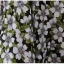 Schöne Schwarz Blumen Ballkleider 2023 A Linie Spaghettiträger Schleife Ärmellos Rückenfreies Wadenlang Festliche Kleider