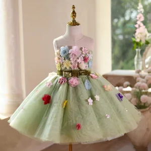 Fée Des Fleurs Vert Cendré Appliques Courte Anniversaire Robe Ceremonie Fille 2025 Robe Boule Encolure Dégagée Sans Manches Dos Nu Noeud Ceinture Tulle