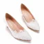 Élégant Blanche En Dentelle Fleur Chaussure De Mariée 2022 5 cm Talons Aiguilles À Bout Pointu Mariage Escarpins Talons Hauts
