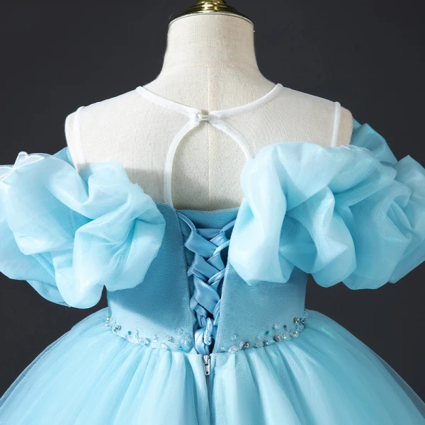 Cendrillon Bleu Perlage En Dentelle Papillon Anniversaire Robe Ceremonie Fille 2022 Robe Boule Encolure Dégagée Gonflée Manches Courtes Dos Nu Tribunal Train Robe Ceremonie Fille