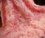 Mode Candy Roze Handgemaakt Bloem Gala sjaal 2025 Tule
