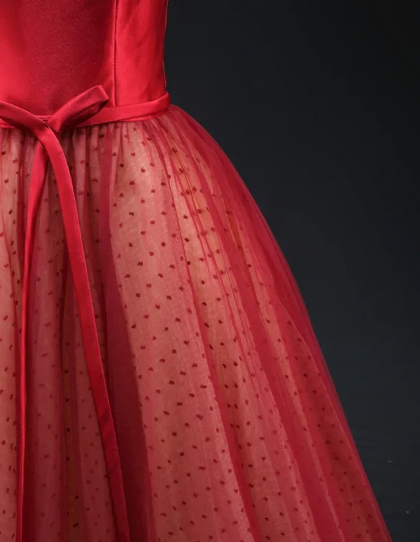 Chic / Beautiful Burgundy Dot Bow Sash Prom Dresses 2025 A-Line / Princess Square Neckline Short Sleeve Backless Floor-Length / Long Prom Formal Dresses