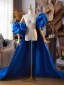 Vintage / Originale Bleu Roi Fait main Gonflée Manches Courtes Promo Châles Vestes & Enveloppements 2025