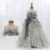 Mode Gris Appliques Promo Robe Ceremonie Fille 2022 Princesse Encolure Dégagée Sans Manches Noeud Ceinture Train De Balayage Robe Ceremonie Fille