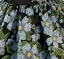 Vintage / Retro Black Rhinestone Floral Birthday Flower Girl Dresses 2024 Ball Gown Scoop Neck Short Sleeve Floor-Length / Long