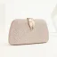 Chic / Beautiful Black Evening Party Suede Clutch Bags 2023