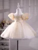 Chic / Beautiful Champagne Lace Flower Birthday Flower Girl Dresses 2024 Ball Gown Scoop Neck Puffy Short Sleeve Floor-Length / Long
