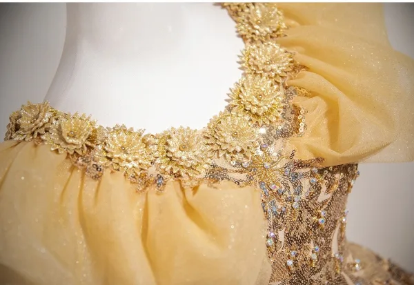Scintillantes Champagne Perlage Paillettes En Dentelle Fleur Robe De Bal 2025 Robe Boule Encolure Dégagée Sans Manches Dos Nu Longue Promo Robe De Ceremonie