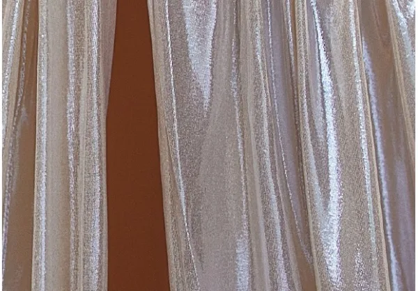 Sexy Argenté Fendue devant Robe De Soirée 2024 Trompette / Sirène Bustier Sans Manches Dos Nu Train De Balayage Soirée Robe De Ceremonie