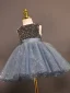 Bling Bling Grey Sequins Short Birthday Flower Girl Dresses 2023 Ball Gown Scoop Neck Sleeveless Bow