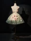 Vintage / Retro Champagne Rose Appliques Short Prom Dresses 2024 Scoop Neck Sleeveless Backless Prom Formal Dresses