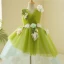 Flower Fairy Sage Green Lace Flower Appliques Asymmetrical Flower Girl Dresses 2024 Birthday Ball Gown V-Neck Sleeveless Tulle