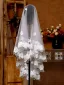 Elegant White Lace Butterfly 1.5 m Tulle Wedding Veils 2025