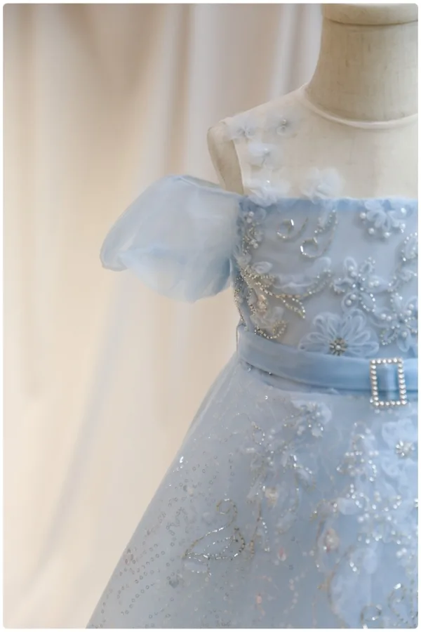 Chic / Beautiful Sky Blue Appliques Beading Pearl Sequins Birthday Flower Girl Dresses 2024 A-Line / Princess Scoop Neck Short Sleeve Tulle Floor-Length / Long
