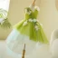 Flower Fairy Sage Green Lace Flower Appliques Asymmetrical Flower Girl Dresses 2024 Birthday Ball Gown V-Neck Sleeveless Tulle