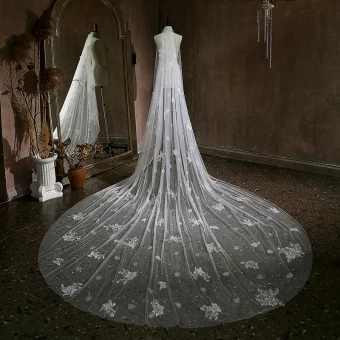 Blanche Glitter En Dentelle Perle Voile De Mariée 2024 Charmant