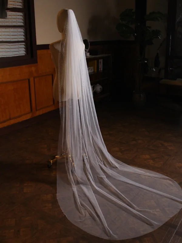 Vintage / Retro White Glitter Rhinestone Wedding Veils 2025 2 m Tulle