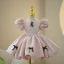 Elegant Blushing Pink Short Birthday Flower Girl Dresses 2023 Ball Gown Scoop Neck Puffy Short Sleeve Bow