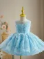 Fashion Sky Blue Pearl Short Birthday Flower Girl Dresses 2023 Ball Gown Scoop Neck Sleeveless