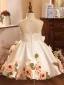 Flower Fairy Ivory Appliques Birthday Short Flower Girl Dresses 2024 Scoop Neck Sleeveless Backless