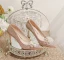 Charming Champagne Beading Lace Flower Pearl Sequins Leather Wedding Shoes 2023 8 cm Stiletto Heels Pointed Toe Wedding Pumps High Heels