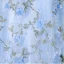 Flower Fairy Sky Blue Appliques Prom Dresses 2023 Ball Gown Strapless Sleeveless Backless Floor-Length / Long Prom Formal Dresses