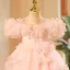 Lovely Blushing Pink Appliques Birthday Flower Girl Dresses 2025 Ball Gown Scoop Neck Short Sleeve Backless Sweep Train Tulle Flower Girl Dresses