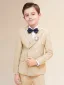 Fashion Beige Long Sleeve Boys Wedding Suits 2022 Coat Pants Shirt Tie Wedding