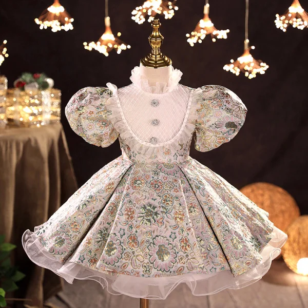 Vintage / Retro Multi-Colors Embroidered Short Flower Girl Dresses 2022 Ball Gown Ruffle High Neck Rhinestone Puffy Short Sleeve Prom Flower Girl Dresses