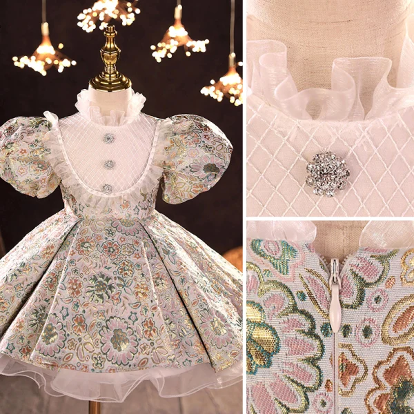 Vintage / Retro Multi-Colors Embroidered Short Flower Girl Dresses 2022 Ball Gown Ruffle High Neck Rhinestone Puffy Short Sleeve Prom Flower Girl Dresses