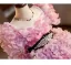 Flower Fairy Candy Pink Appliques Rhinestone Birthday Flower Girl Dresses 2025 Ball Gown Square Neckline Short Sleeve Backless Floor-Length / Long