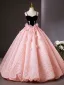 Flower Fairy Blushing Pink Appliques Prom Dresses 2025 Ball Gown Spaghetti Straps Sleeveless Backless Floor-Length / Long Formal Dresses