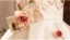 Flower Fairy Ivory Appliques Birthday Short Flower Girl Dresses 2024 Scoop Neck Sleeveless Backless