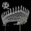 Bling Bling Roos Goud Rhinestone Legering Bruids Haaraccessoires 2024 Huwelijk Accessoires
