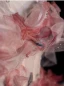Flower Fairy Blushing Pink Appliques Prom Dresses 2024 Ball Gown Off-The-Shoulder Short Sleeve Backless Floor-Length / Long Prom Formal Dresses