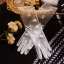 Simple Blanche Appliques Noeud Tulle Mariage Gants Mariage 2026