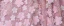Lovely Candy Pink Glitter Lace Flower Appliques Flower Girl Dresses 2024 Ball Gown Birthday Scoop Neck Puffy Short Sleeve Floor-Length / Long