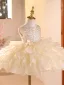 Bling Bling Champagne Sequins Cascading Ruffles Birthday Flower Girl Dresses 2026 Ball Gown Scoop Neck Sleeveless Bow Short