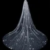Chic / Beautiful White Pearl Appliques Wedding Veils 2024 3.5 m Tulle Chapel Train