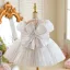 Bling Bling Sky Blue Sequins Birthday Short Flower Girl Dresses 2025 Ball Gown Scoop Neck Puffy Short Sleeve Tulle