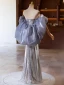 Scintillantes Argenté Gris Paillettes Robe De Bal 2024 Trompette / Sirène Bustier Manches Courtes Dos Nu Longue Promo Robe De Ceremonie